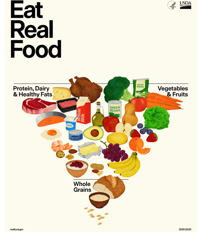 Malak Moaz Profile Photo