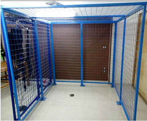 phyzioline  spider cage