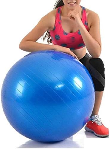 Anti-Burst Swiss Exercise & Rehabilitation Ball with Air Pump