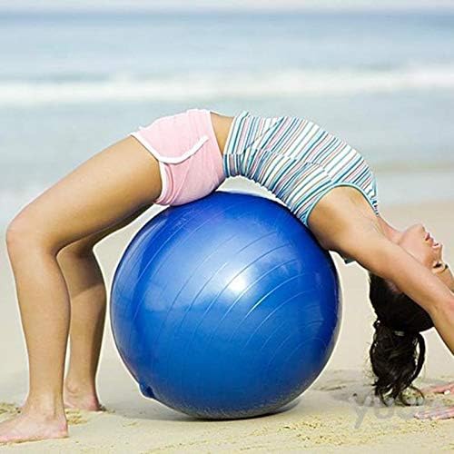 Anti-Burst Swiss Exercise & Rehabilitation Ball with Air Pump