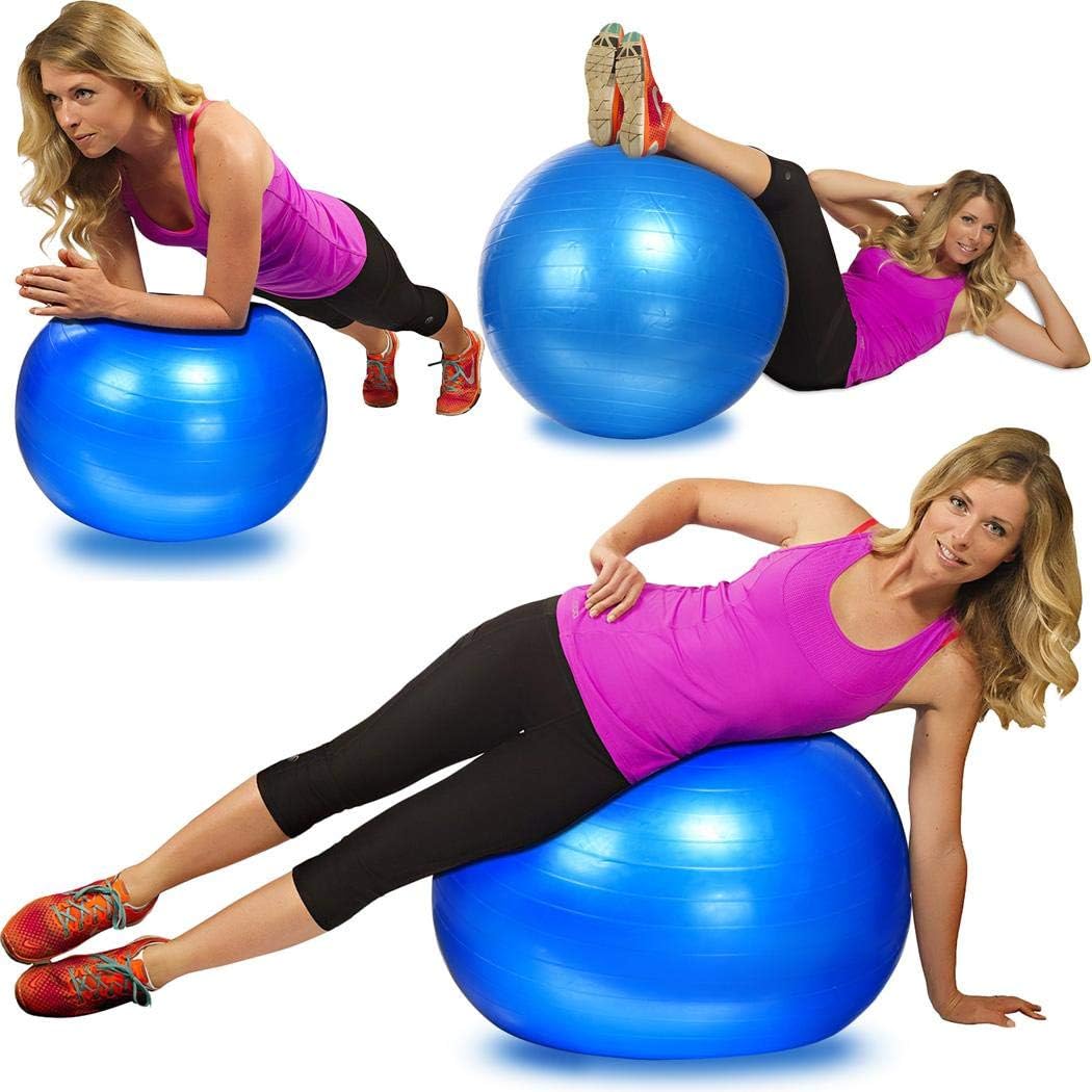 Anti-Burst Swiss Exercise & Rehabilitation Ball with Air Pump