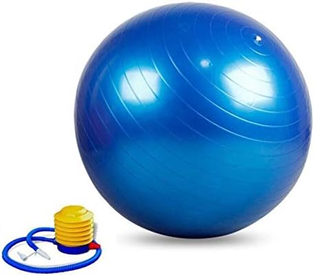 Anti-Burst Swiss Exercise & Rehabilitation Ball with Air Pump